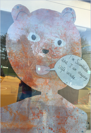 Scam Bear small (2) 